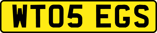 WT05EGS
