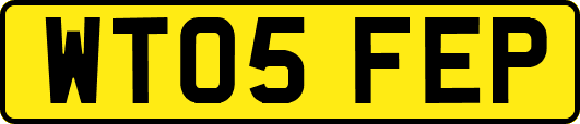 WT05FEP