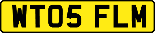 WT05FLM