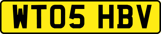 WT05HBV