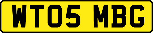 WT05MBG