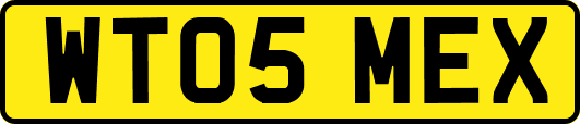 WT05MEX
