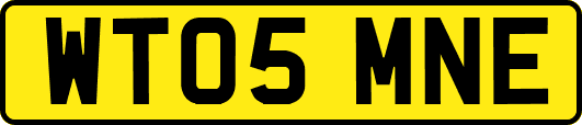 WT05MNE