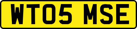 WT05MSE