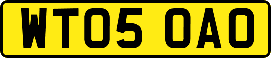 WT05OAO