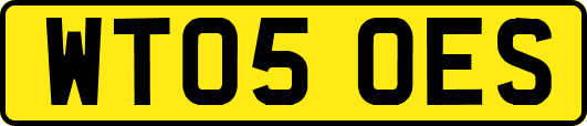 WT05OES