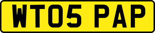 WT05PAP