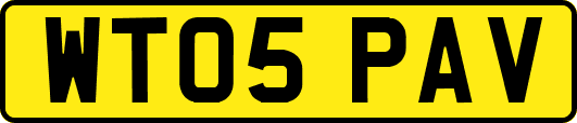 WT05PAV