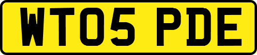 WT05PDE