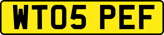 WT05PEF