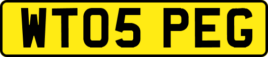 WT05PEG