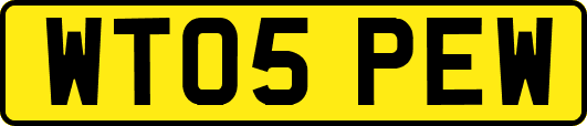 WT05PEW