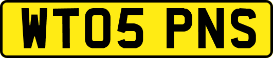 WT05PNS