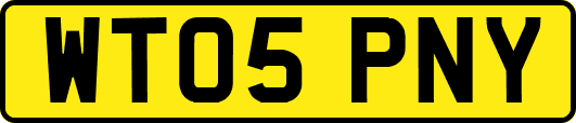 WT05PNY