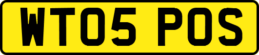WT05POS