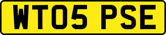 WT05PSE