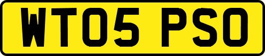 WT05PSO