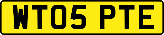 WT05PTE