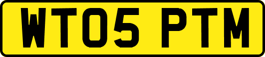 WT05PTM