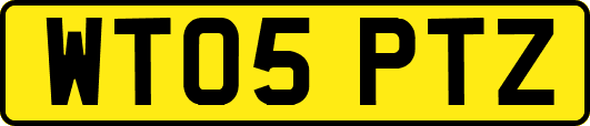 WT05PTZ