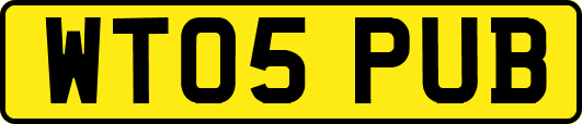WT05PUB