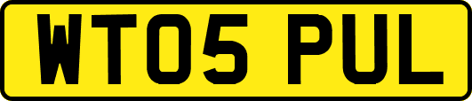 WT05PUL