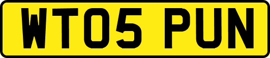 WT05PUN