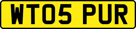 WT05PUR
