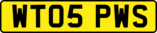 WT05PWS