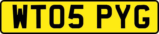 WT05PYG