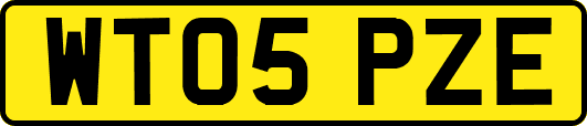 WT05PZE