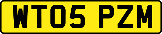 WT05PZM