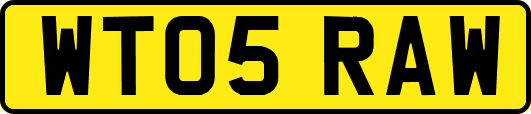 WT05RAW