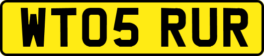 WT05RUR