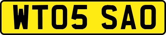 WT05SAO