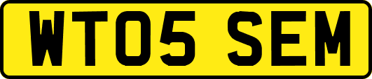 WT05SEM