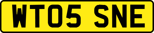 WT05SNE