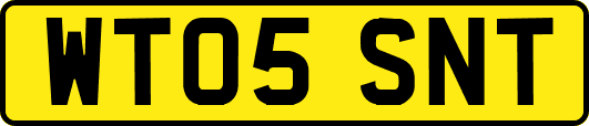 WT05SNT