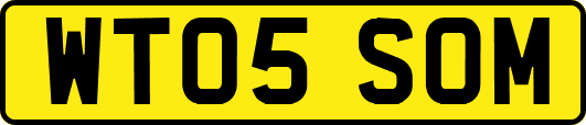 WT05SOM