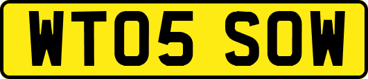 WT05SOW