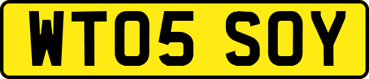 WT05SOY