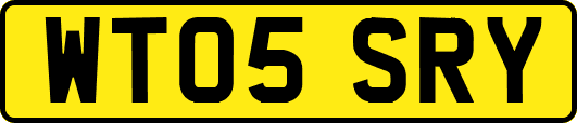 WT05SRY