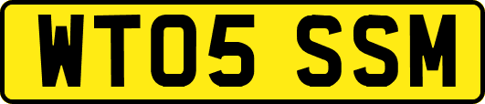 WT05SSM