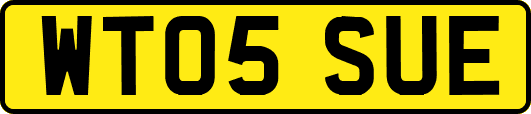 WT05SUE