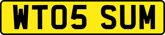 WT05SUM