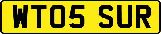 WT05SUR