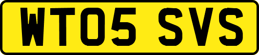 WT05SVS