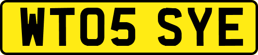 WT05SYE