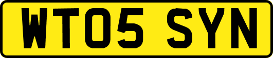WT05SYN