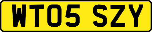 WT05SZY